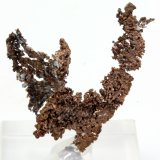 Cobre
2,9 x 1,7 cm.
(Autor: carles)