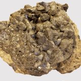 Djurleita, Pirita
5,8 x 4,3 cm.
(Autor: carles)
