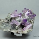 Cuarzo (variedad amatista), Calcita
6.8 x 6.8 x 2.8 centimetros
(Autor: Ricardo Melendez)