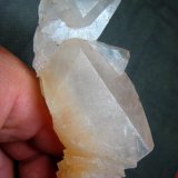 Calcita
9 cm
(Autor: mmarte)