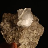 Yeso (variedad selenita)
13.7 x 11 x 8 centimetros
(Autor: Ricardo Melendez)