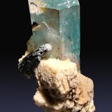 Berilo (variedad aguamarina) con Schorlo (Chorlo) y Ortoclasa
27 mm x 44 mm x 22 mm
(Autor: Firmo Espinar)