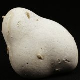 Ópalo (variedad menilito)
5.7 x 4.4 x 3 centimetros
(Autor: Ricardo Melendez)