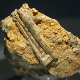 Clinozoisita
Cristal de 4x1 cm
(Autor: minero1968)