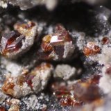 Esfalerita
Cristales de 2mm
(Autor: minero1968)