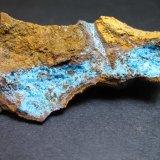 Alofana
6 x 3 cm.
(Autor: prcantos)