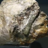 Berilo
Cristal de 2,5x0,5 cm
(Autor: minero1968)