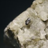 Rutilo
Cristal de 3 mm
(Autor: minero1968)