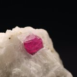 Corindón (variedad rubi)
3.3 x 3.3 x 1.6 centimetros
(Autor: Ricardo Melendez)