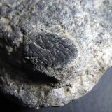 Cloritoide
Cristal de 12 x 17 mm.
(Autor: prcantos)