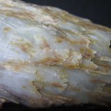 Sillimanita (variedad fibrolita)
4 cm. ancho de campo
(Autor: prcantos)