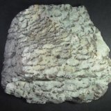 Granito gráfico
12 x 12 cm.
(Autor: prcantos)