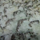 Granito gráfico
4 cm. ancho de campo
(Autor: prcantos)