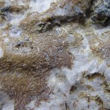 Xenolito de cuarzo con agujas de piroxeno
5 cm. ancho de campo
(Autor: prcantos)