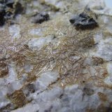 Xenolito de cuarzo con agujas de piroxeno
4 cm. ancho de campo
(Autor: prcantos)