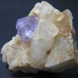 Fluorita, calcita
4'5 x 5 cm.  Cristal de 1 cm. arista mayor
(Autor: prcantos)