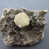 Siderita, moscovita
5 x 3'5 cm.
(Autor: prcantos)