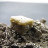 Siderita, moscovita
Cristal de 13 mm. de ancho (diagonal del hexágono)
(Autor: prcantos)