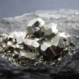 Pirita
4 cm. ancho de campo
(Autor: prcantos)