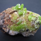 Piromorfita
5 x 3 cm.
(Autor: prcantos)