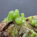 Piromorfita
3'5 cm. ancho de campo
(Autor: prcantos)