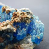 Calcantita
2'5 cm. ancho de campo
(Autor: prcantos)