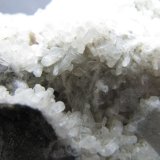 Estilbita-Ca
3 cm. ancho de campo
(Autor: prcantos)
