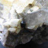 Almandino
3'5 cm. ancho de campo
(Autor: prcantos)