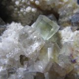 Fluorita
3 cm. ancho de campo
(Autor: prcantos)