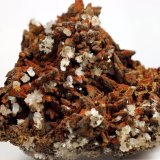 Goethita pseudo Calcita y Hemimorfita
10.1 x 9 x 5.5 centimetros
(Autor: Ricardo Melendez)