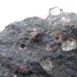 Serpentinita con piropo
4 cm. ancho de campo
(Autor: prcantos)