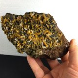 Wulfenita, Mimetita, Goethita
16.4 x 11 x 6.5 centimetros
(Autor: Ricardo Melendez)