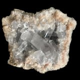 Celestina
8 x 8 cm
(Autor: Pedro FD)