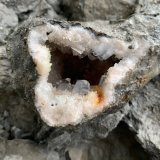 Celestina
8 x 6 cm
(Autor: Pedro FD)