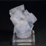 Barita
5 x 5 cm.
(Autor: Darío Menéndez)