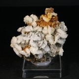 Barita
6 x 6 cm.
(Autor: Darío Menéndez)