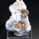 Esfalerita y Dolomita
6 x 4 cm. (Cristal: 1,3 cm).
(Autor: Darío Menéndez)