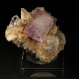 Fluorita y Calcita
6 x 5 cm. (Fluorita: 2 cm).
(Autor: Darío Menéndez)