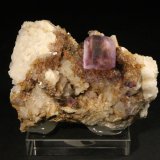 Fluorita y Cuarzo
7 x 5 cm. (Fluorita: 1,3 cm).
(Autor: Darío Menéndez)