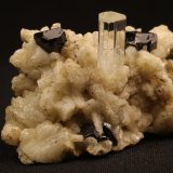 Berilo (variedad aguamarina) y Turmalina (Grupo)
5.3 x 3.3 x 3.5 centimetros
(Autor: Ricardo Melendez)