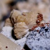 Titanita, Hematites, Chamosita, Fluorita.
3 mm.
(Autor: usoz)