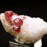 Espinela
4.6 x 2.3 x 2 centimetros
(Autor: Ricardo Melendez)
