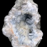 Celestina
6 x 6 cm
(Autor: Pedro FD)