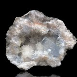Celestina
6 x 6 cm
(Autor: Pedro FD)