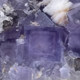 Fluorita, Barita y Cuarzo
(Autor: castrominerals)