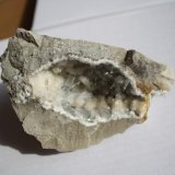Celestina
16 x 10 cm
(Autor: andres codina)