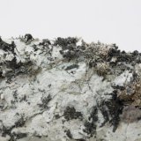 Plata
48 x 23 x 26 mm
(Autor: carles)