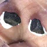 Diamante
6 x 7 x 5 mm
(Autor: Anisio Claudio)