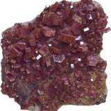 Vanadinita
4,5x4cm
(Autor: castrominerals)