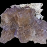 Fluorita y Calcita
11x10cm
(Autor: castrominerals)